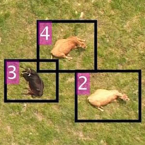 放牧支援のための深層学習を用いた空撮画像における牛検出と個体数推定