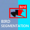 DeepFeatures.jpg